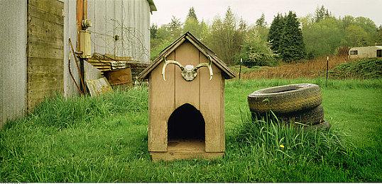 Xbox已可预载！？《龙腾世纪：恐狼》或发布在即